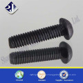 Hexagonal socket pan head screw plated black